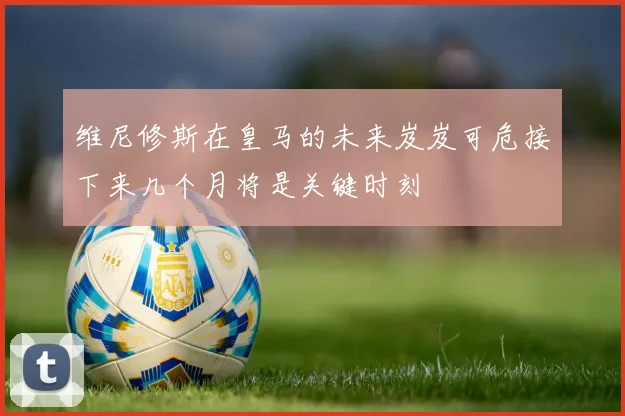 维尼修斯在皇马的未来岌岌可危接下来几个月将是关键时刻